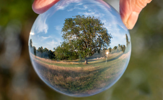 4 - Bearsted Woodland Trust in a bubble