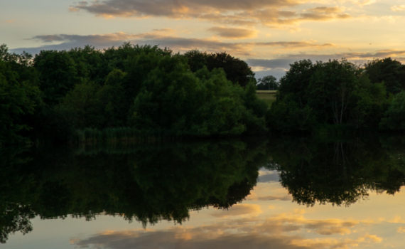 47 - Reflection
