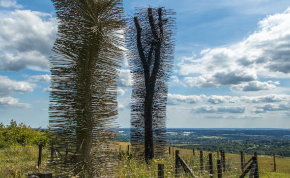 48 - SCULPTURES ON THE DOWNS