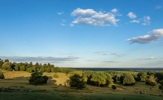 55 - View from Boughton Church