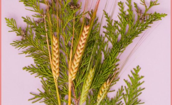 56 - Wheat on Greenery