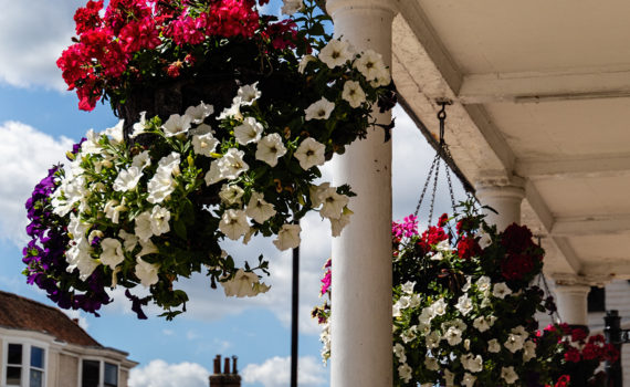76 - Tenterden Town Hall Hanging Baskets