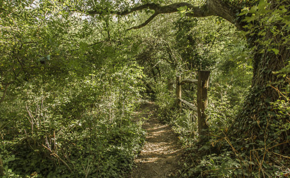 9 - Following the path