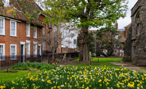64 ST MARY'S GARDEN
