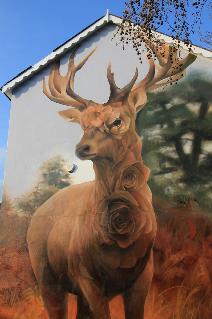 67 Stag House