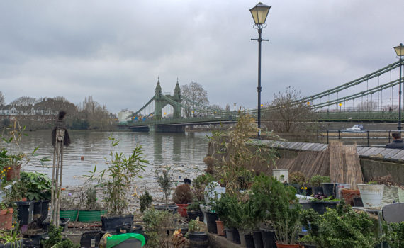 Community Garden Hammersmith