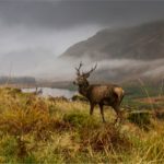 1st Place - Glen coe, Scotland by Roger Parker DPAGB