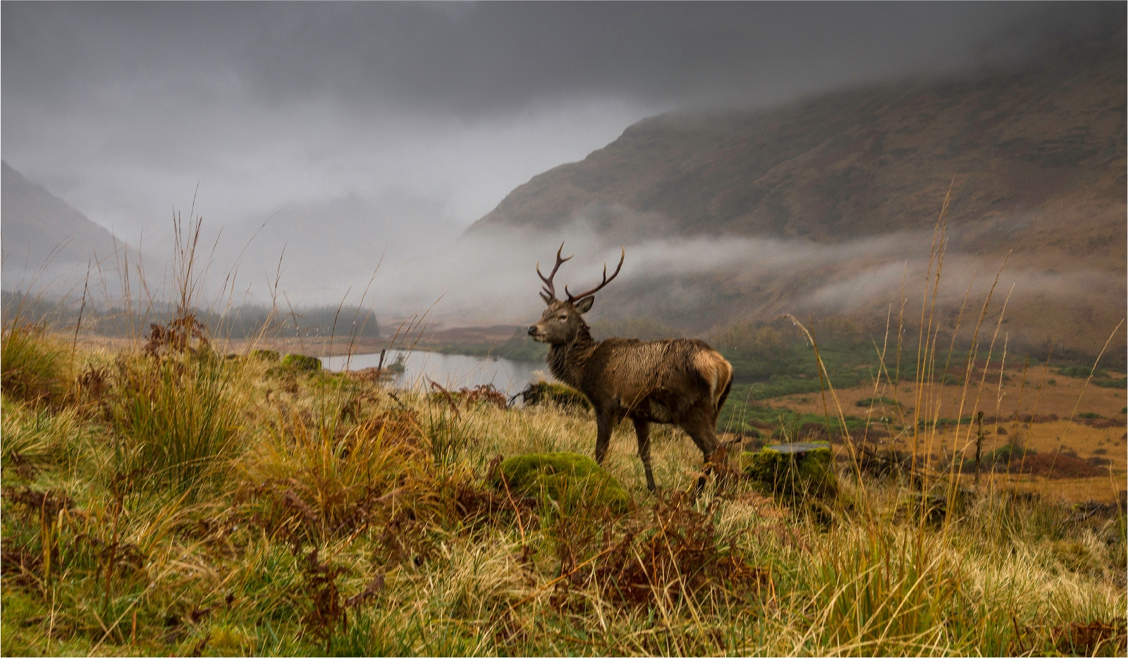 1st Place - Glen coe, Scotland by Roger Parker DPAGB